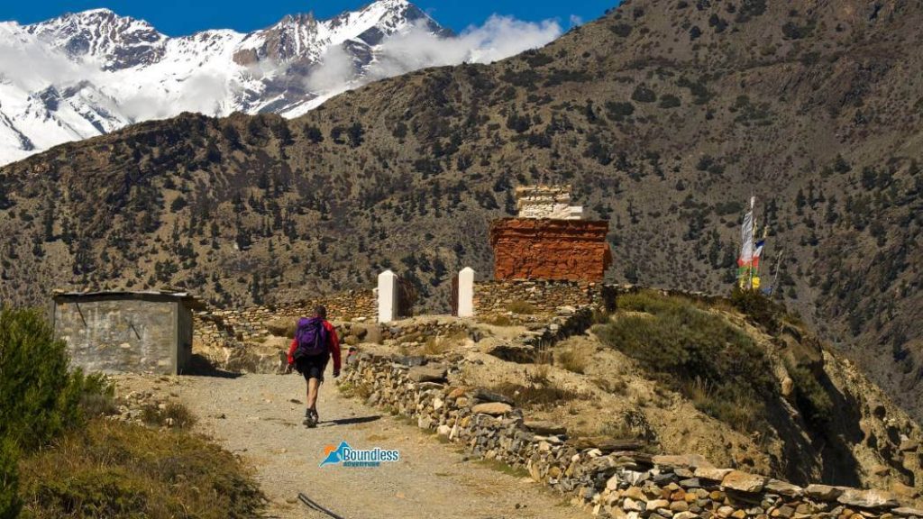Mustang Trek Experience Road Trail 1024x576