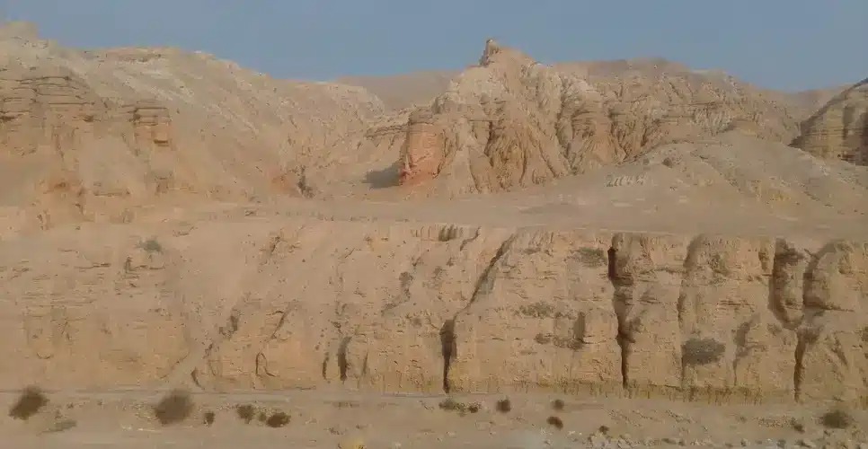 Scenerary In Mustang