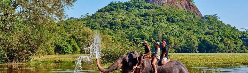 Pekoe Trail Srilanka 1024x304