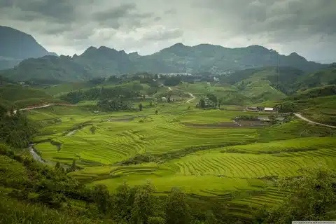 Sapa Valley