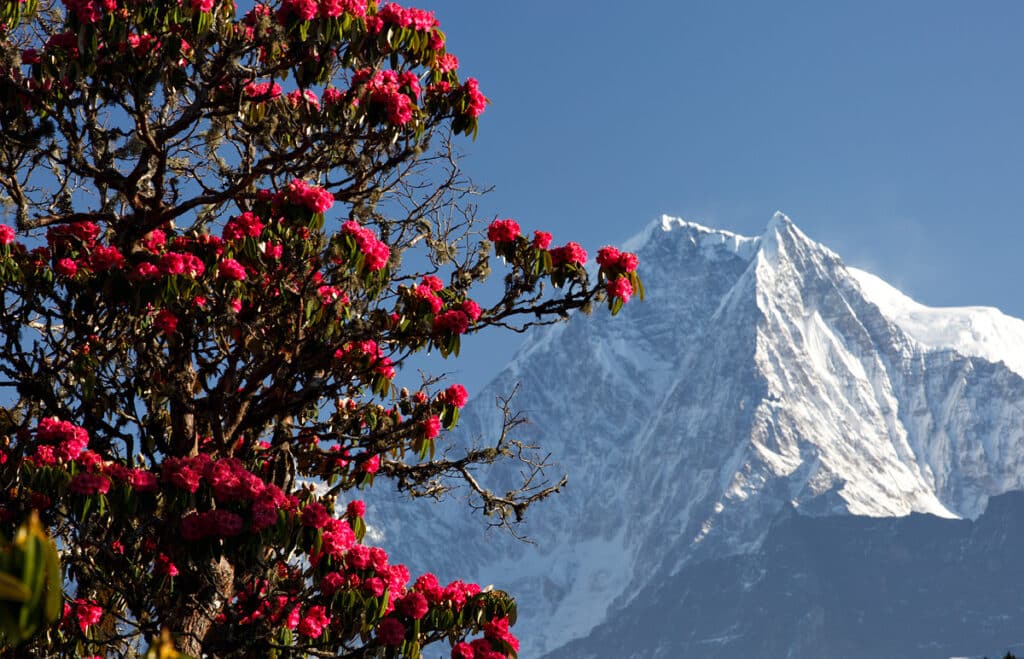 Ghorepani Poon Hill 1024x659