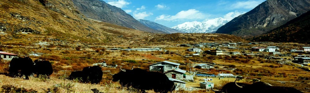 Langtang Region Treks