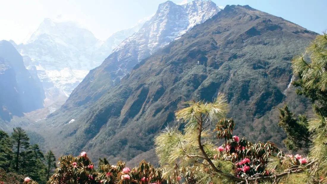 Himalayas Nepal Everest 1173951 1100px