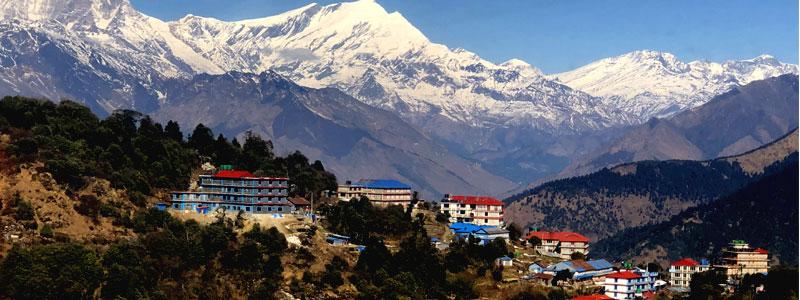 Ghorepani Trekking Hotel
