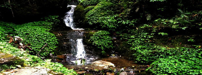 Famous Trekking Destination In Nepal Himalayas Mardi