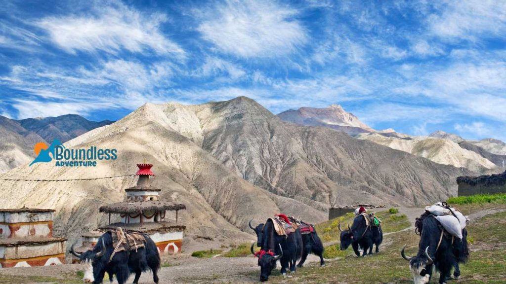 Dolpo Region Trek 1 1024x576