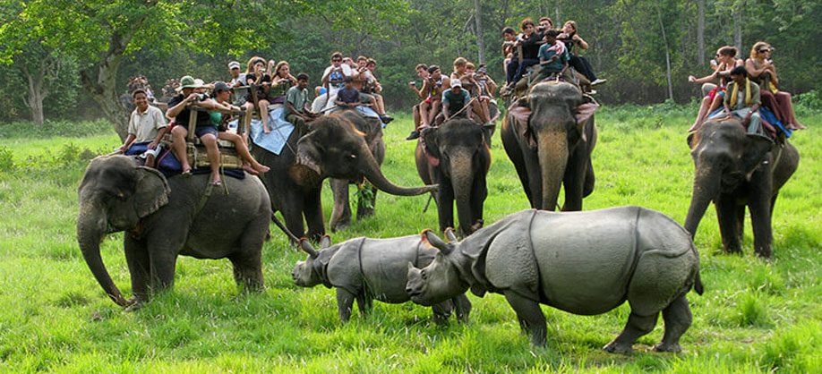 Chitwan National Park