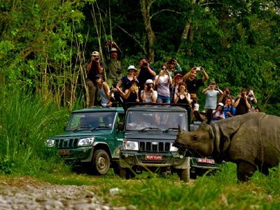 Chitwan Jungle Safari Tour