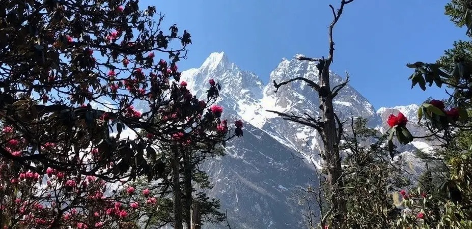 South Annapurna From Ghorepani Poon Trekking