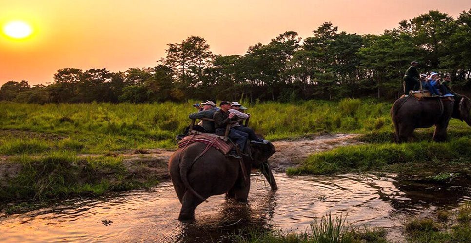 Elephant Safari Chitwan Jungle Fari Tour