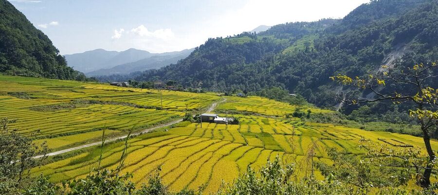 Crops Along The Way To Trek From Tilje To Dharapani