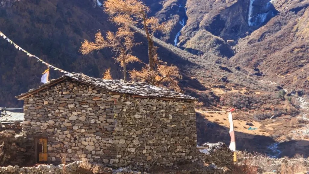 Teahouse During Trekking At Manang Annapurna Region